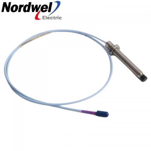 Bently Nevada 330703-000-100-10-11-00