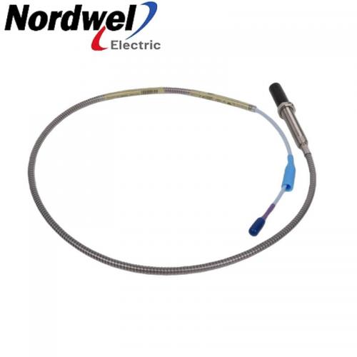 Bently Nevada 330704-000-100-10-01-RU