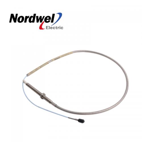 Bently Nevada 330910-00-09-10-01-00